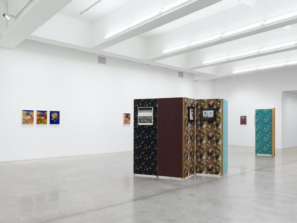 Lisa Oppenheim  Tanya Bonakdar Gallery 