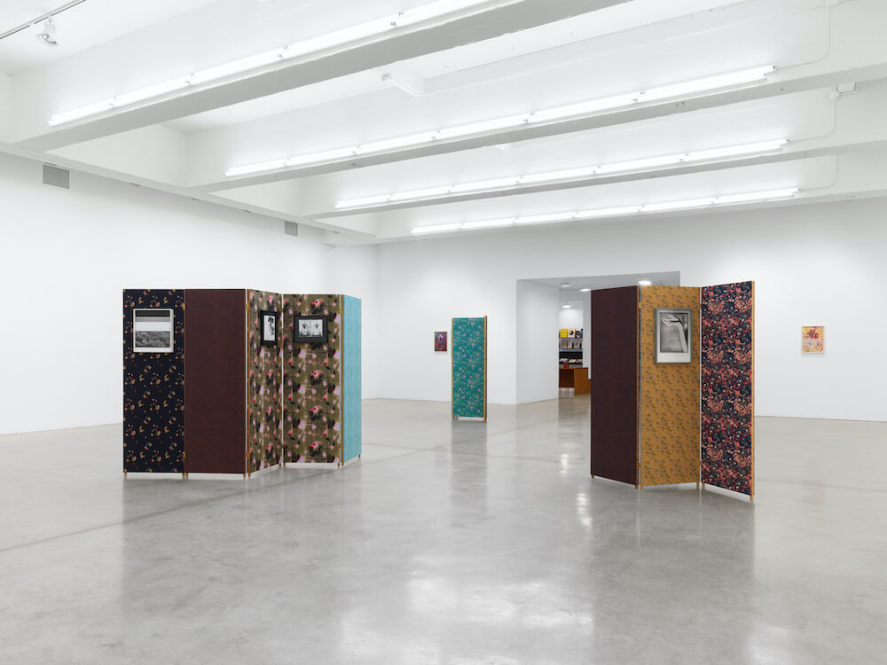 Lisa Oppenheim  Tanya Bonakdar Gallery 