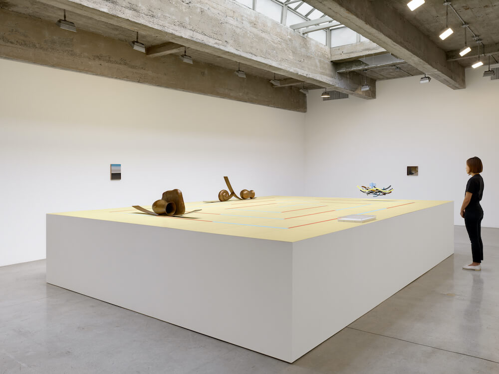 Rodrigo Hernández Tanya Bonakdar Gallery 