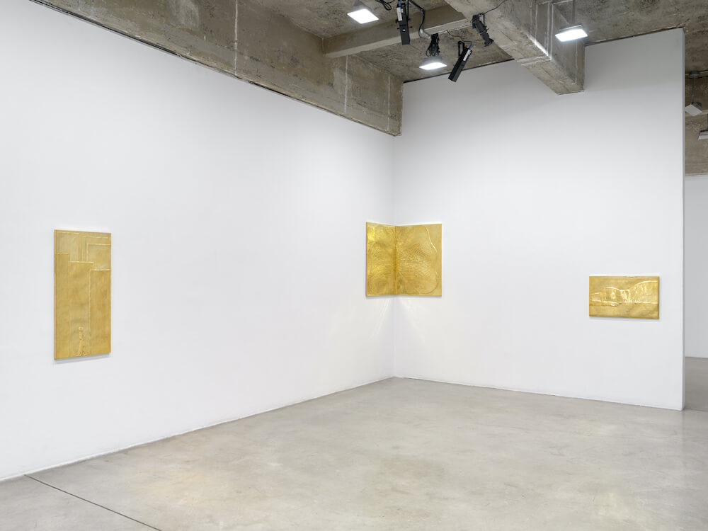 Rodrigo Hernández Tanya Bonakdar Gallery 