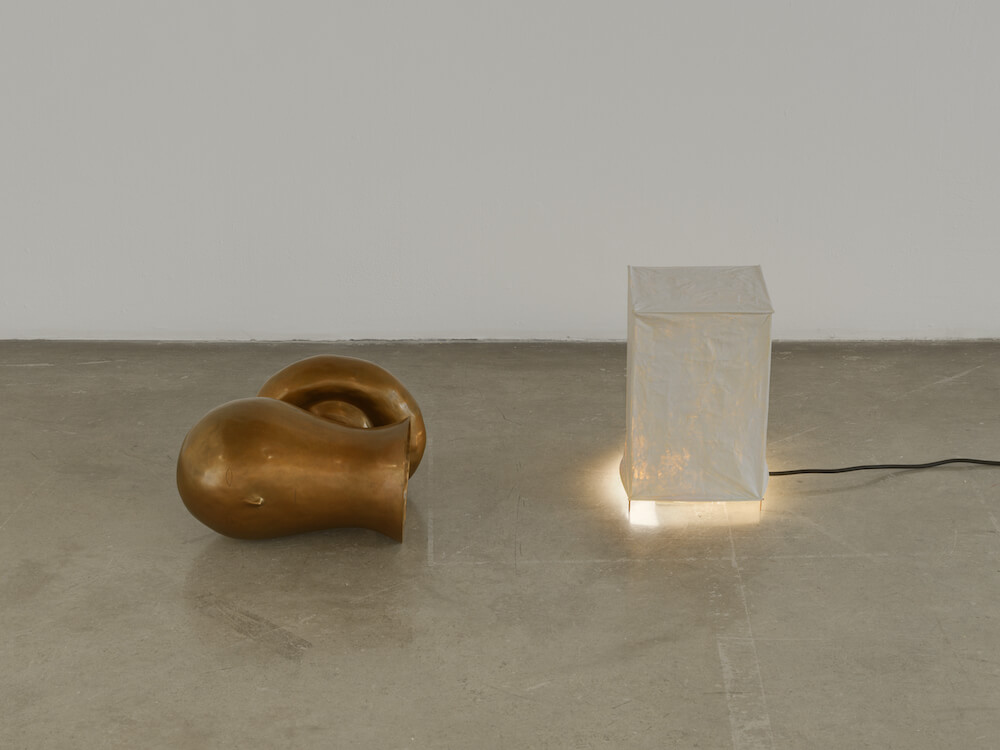 Rodrigo Hernández Tanya Bonakdar Gallery 