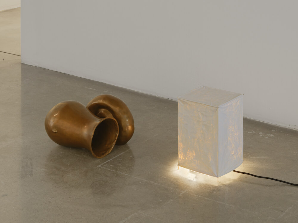 Rodrigo Hernández Tanya Bonakdar Gallery 