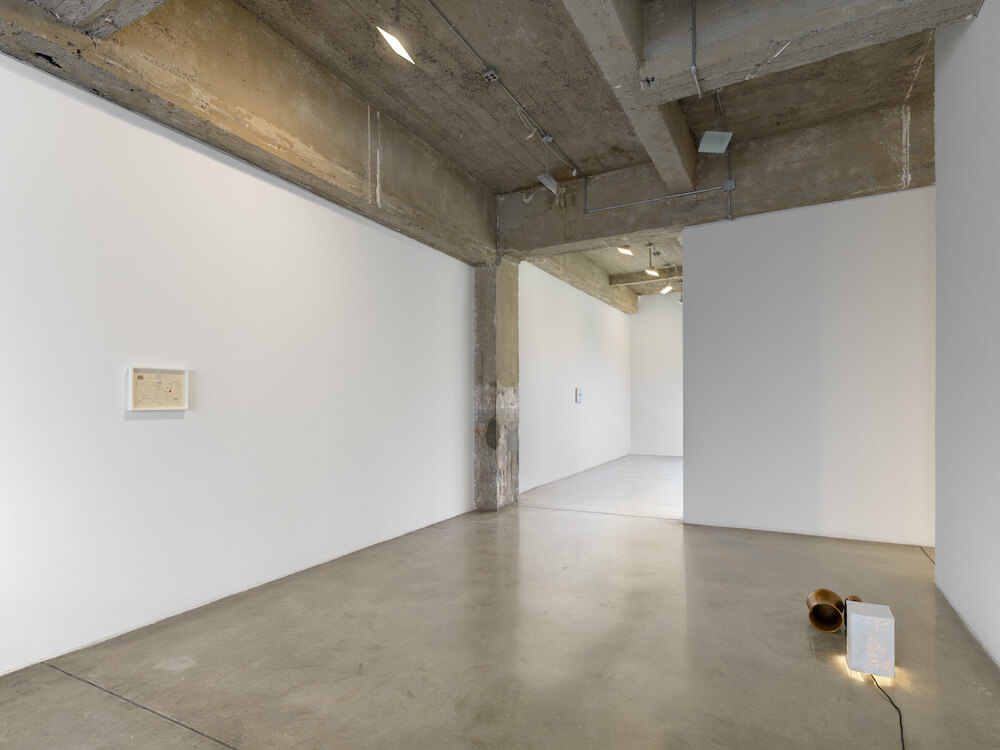 Rodrigo Hernández Tanya Bonakdar Gallery 