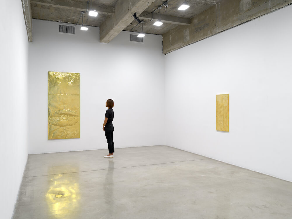 Rodrigo Hernández Tanya Bonakdar Gallery 