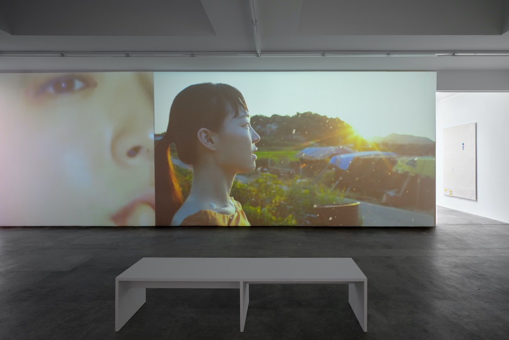 Bek Hyunjin Tanya Bonakdar Gallery 