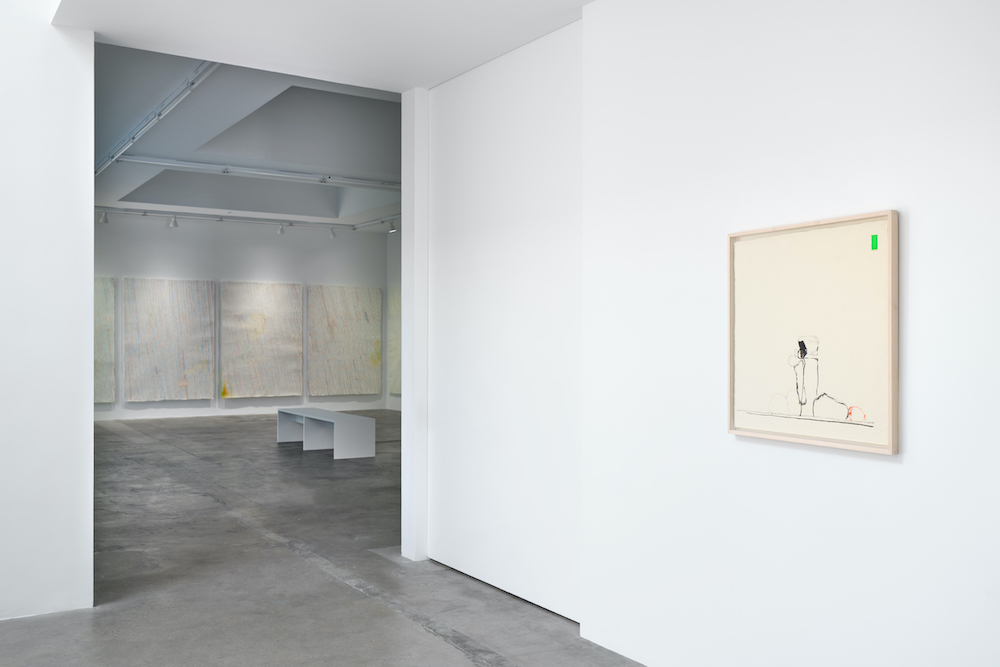 Bek Hyunjin Tanya Bonakdar Gallery 