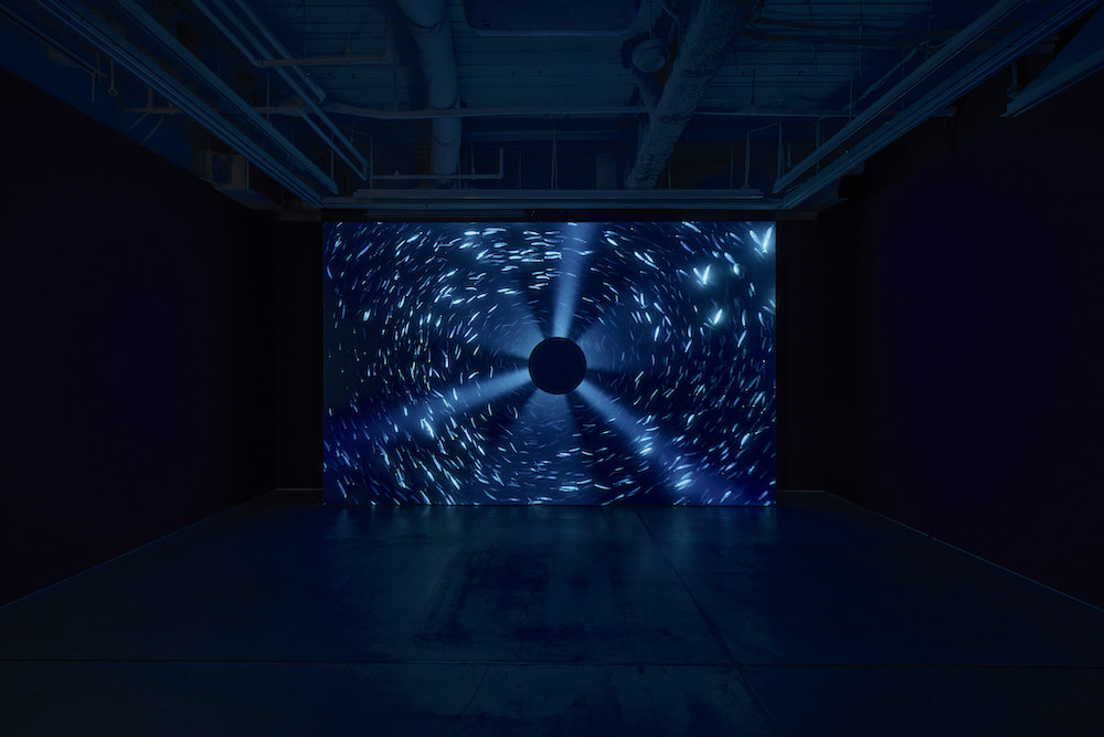 Julian Charrière Perrotin 