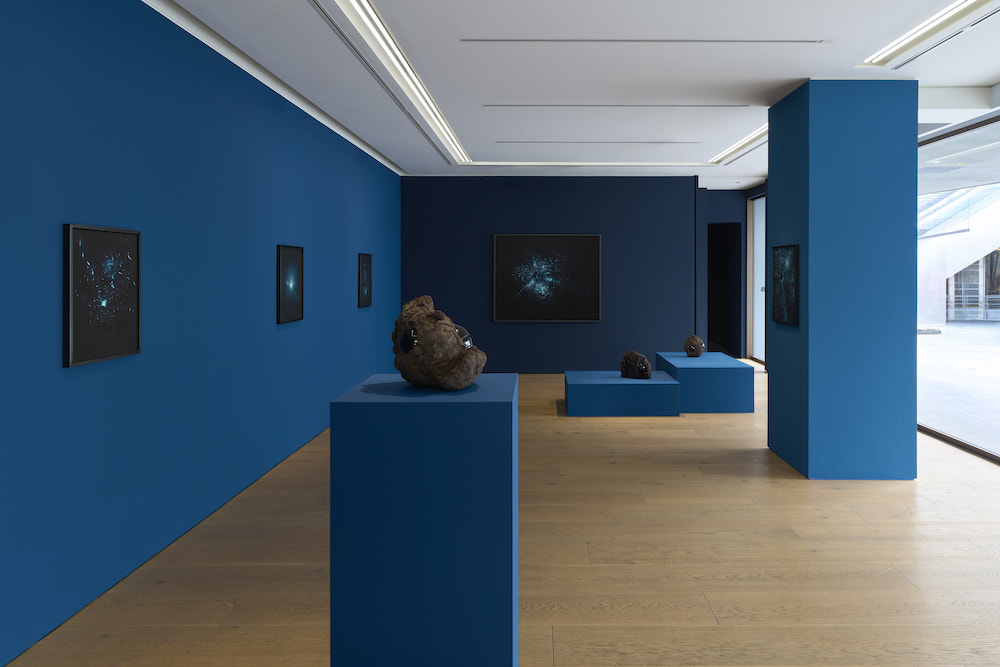 Julian Charrière Perrotin 