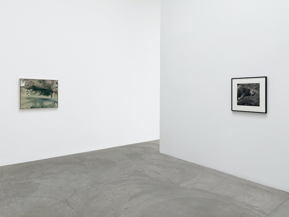  Matthew Marks Gallery 