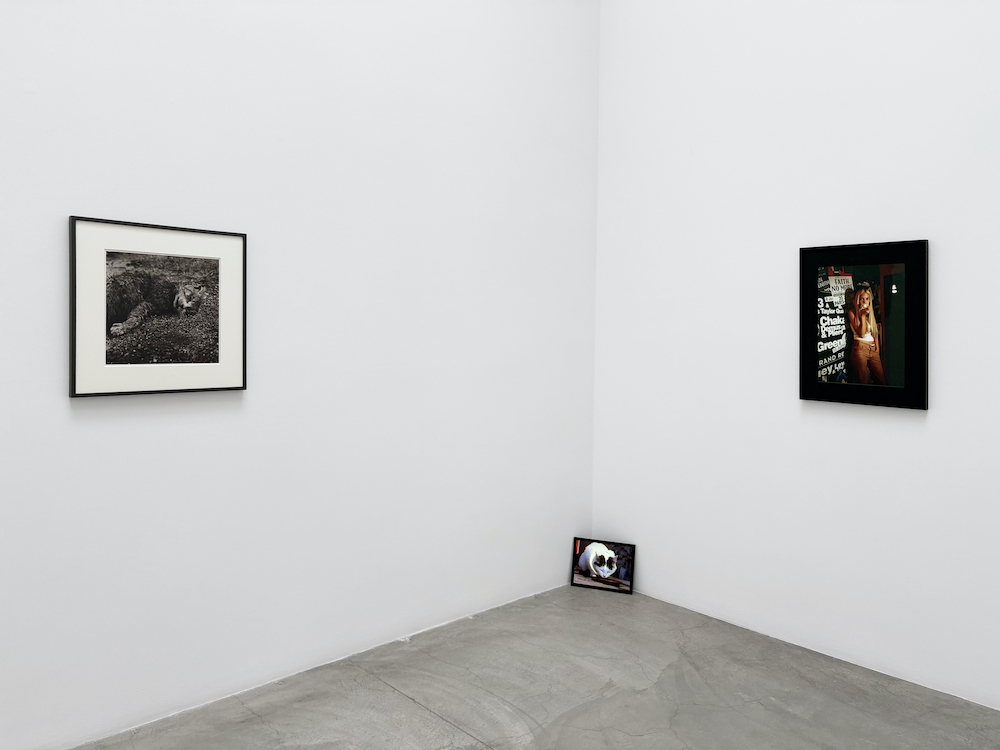  Matthew Marks Gallery 