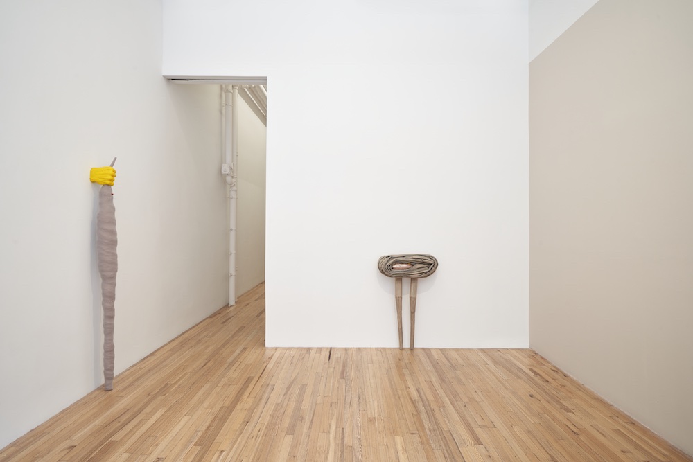 Liz Magor Andrew Kreps Gallery 