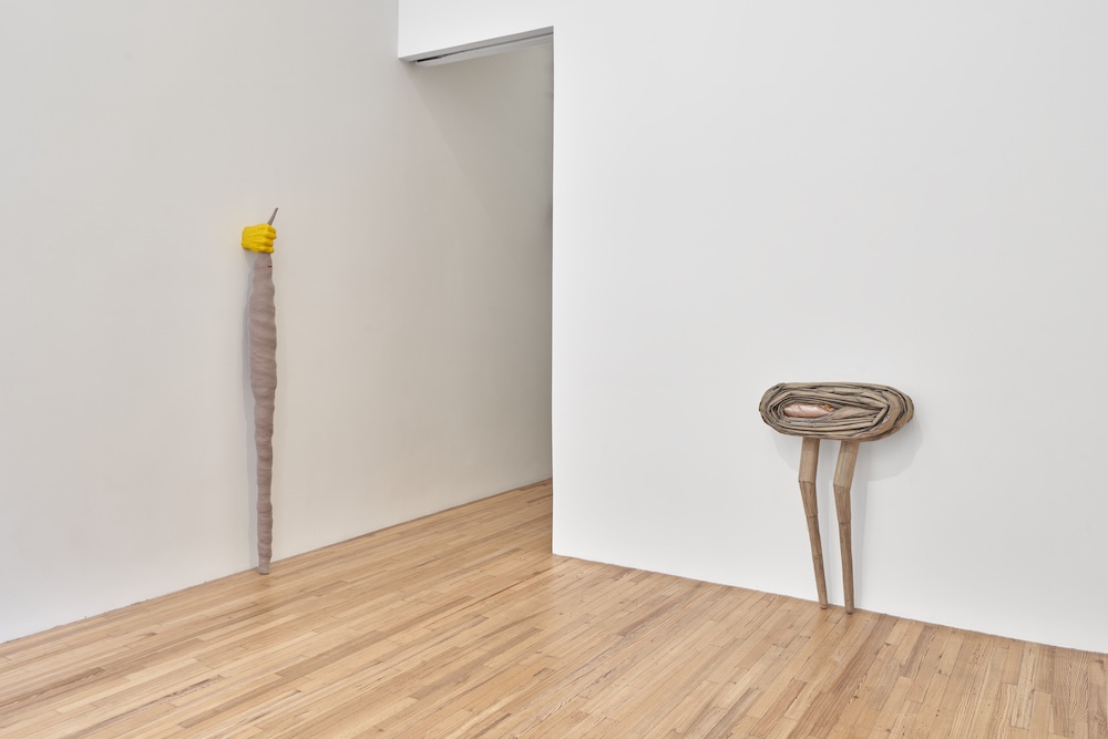 Liz Magor Andrew Kreps Gallery 