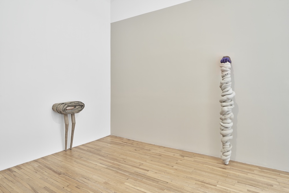 Liz Magor Andrew Kreps Gallery 