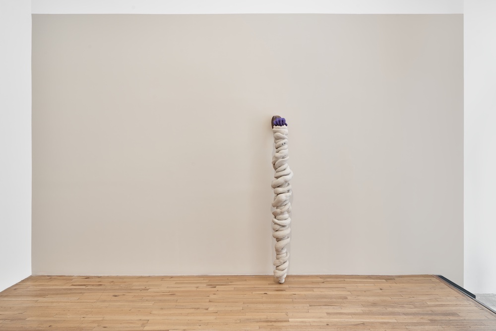 Liz Magor Andrew Kreps Gallery 