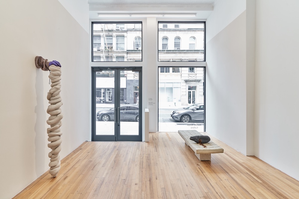 Liz Magor Andrew Kreps Gallery 