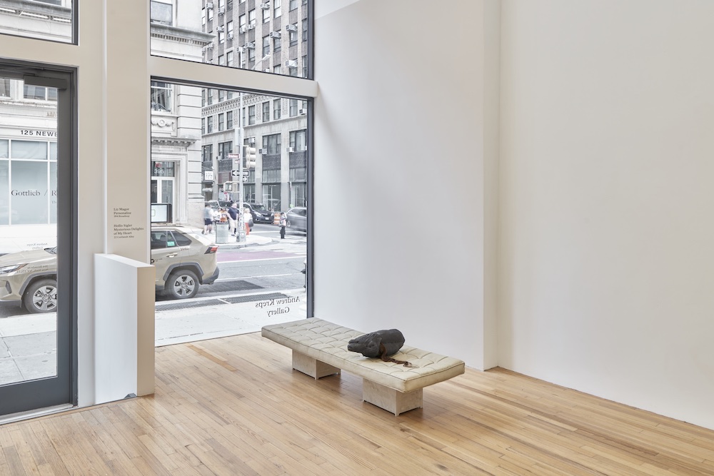 Liz Magor Andrew Kreps Gallery 