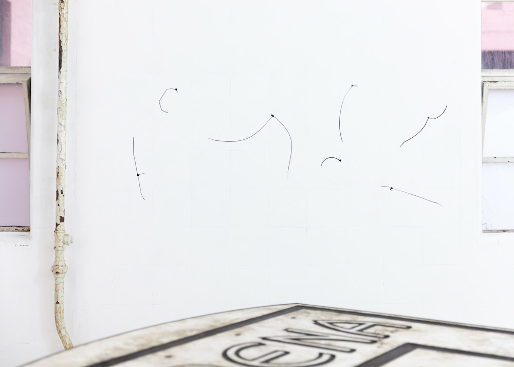 Tessa Lynch Patricia Fleming Gallery 