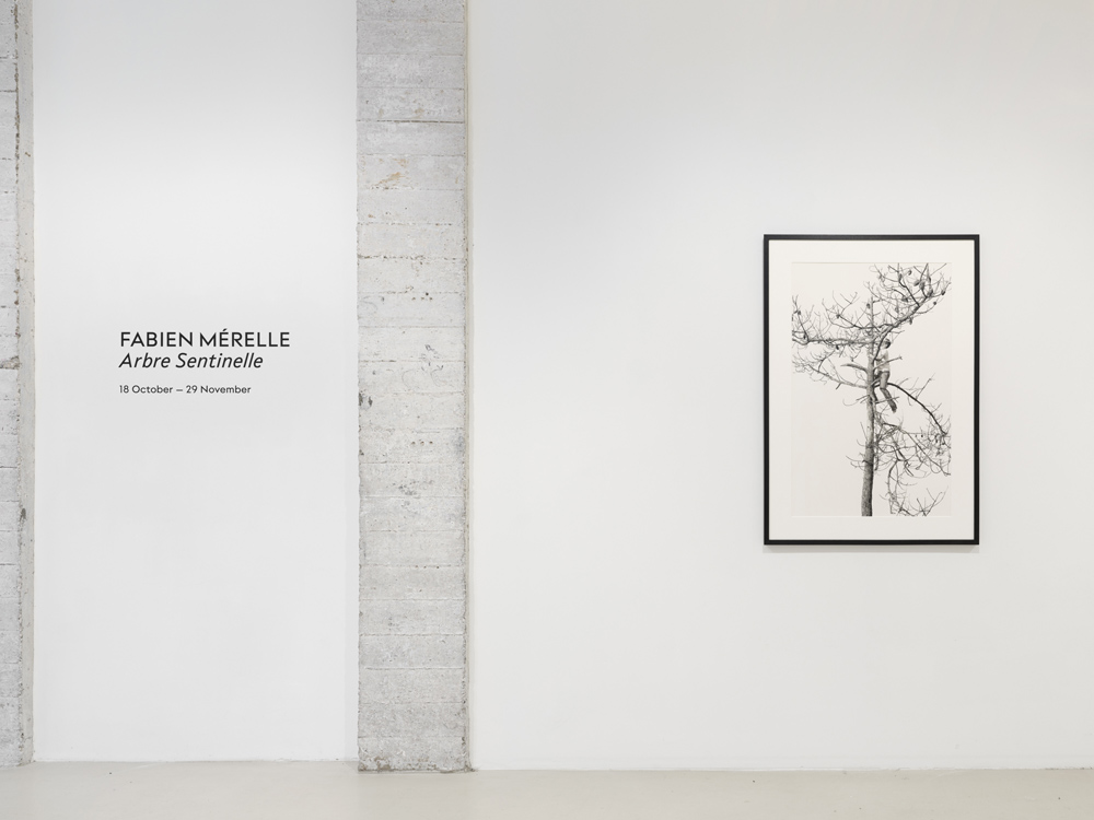 Fabien Mérelle Keteleer Gallery 