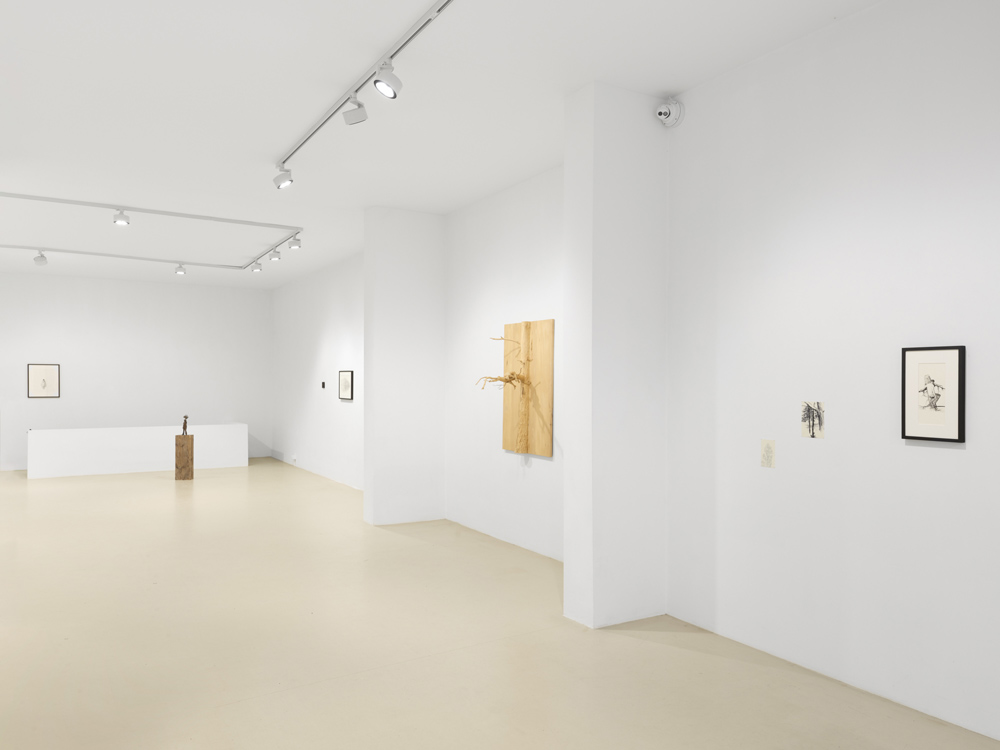 Fabien Mérelle Keteleer Gallery 