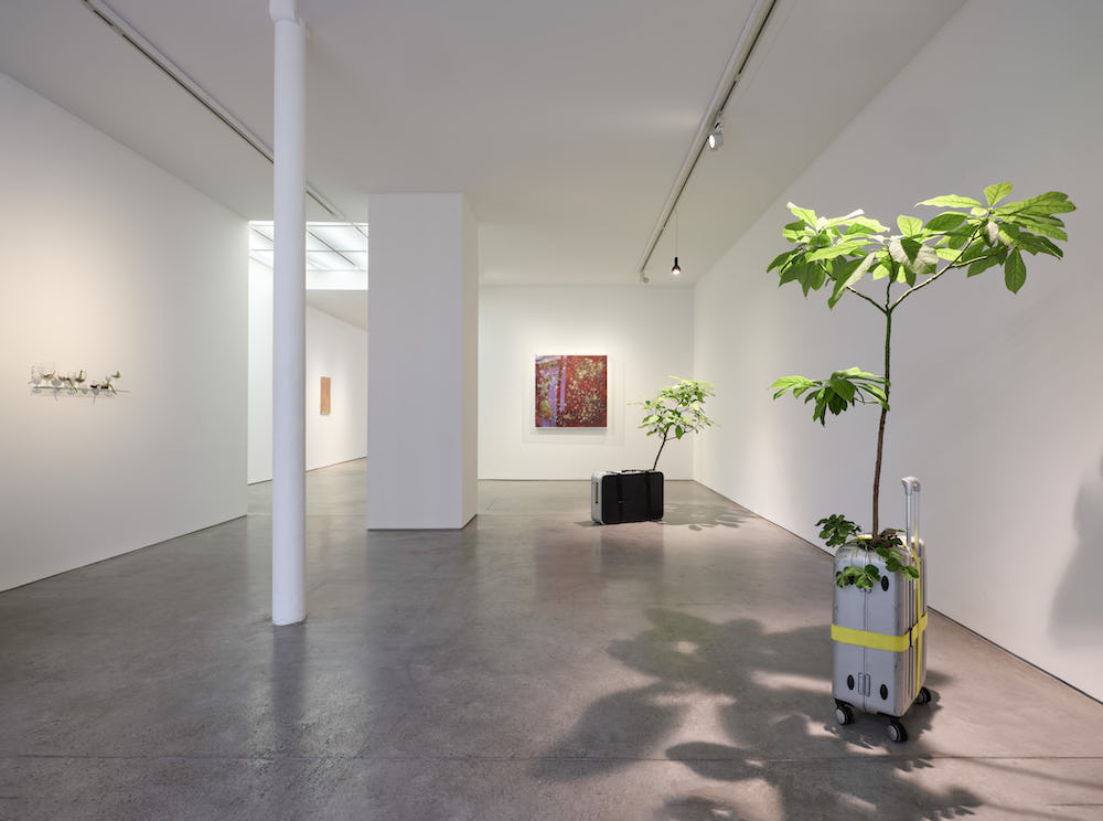 Michel Blazy Art : Concept 