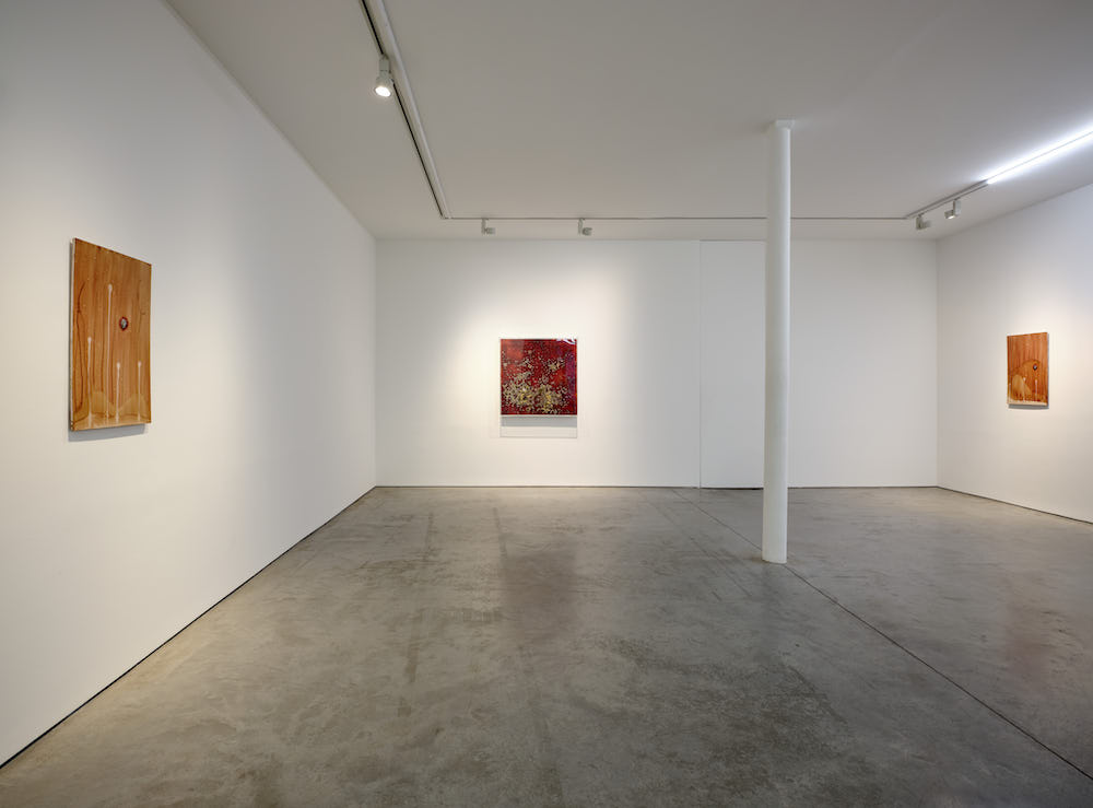 Michel Blazy Art : Concept 