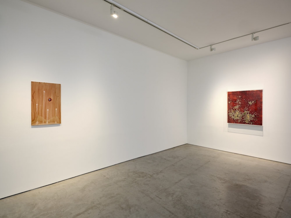 Michel Blazy Art : Concept 