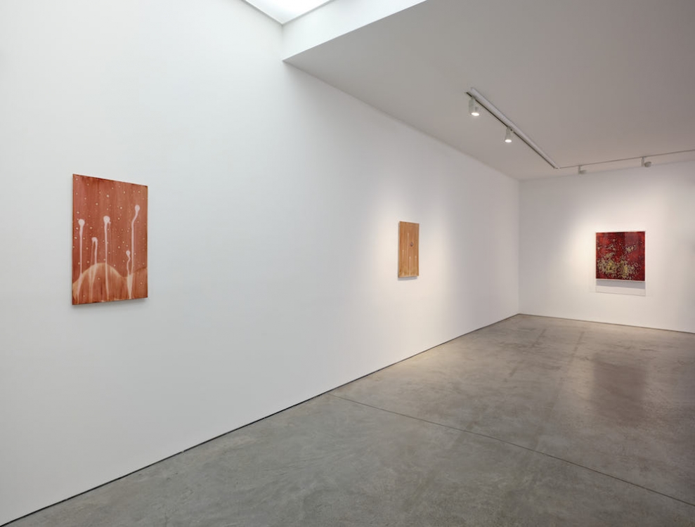 Michel Blazy Art : Concept 