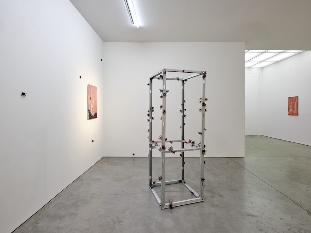 Michel Blazy Art : Concept 