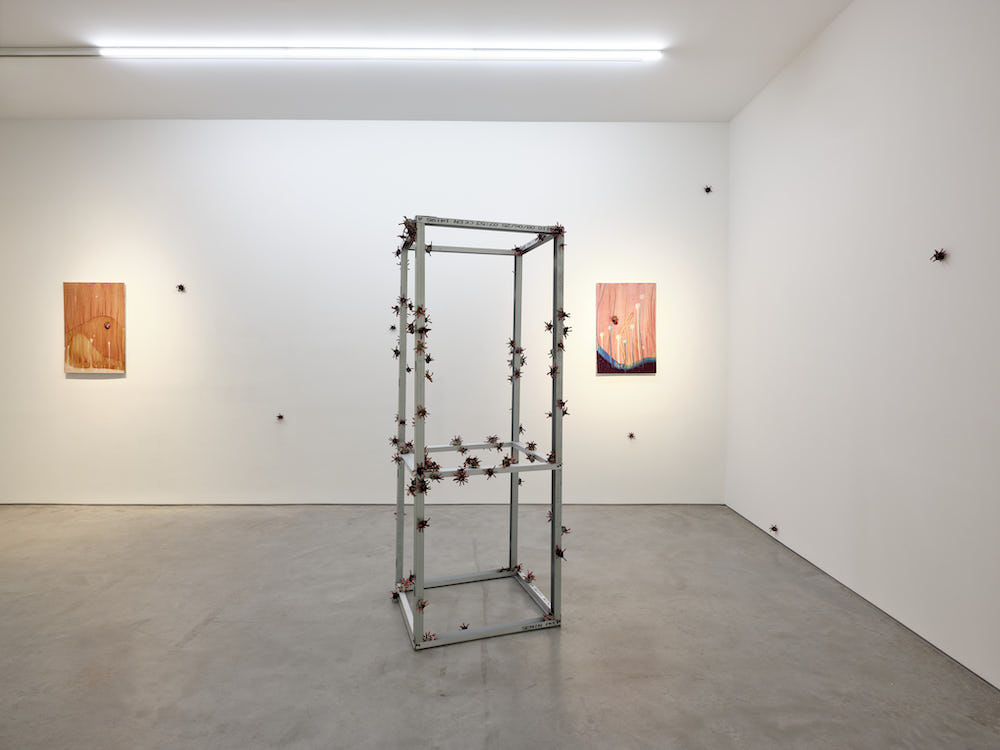 Michel Blazy Art : Concept 