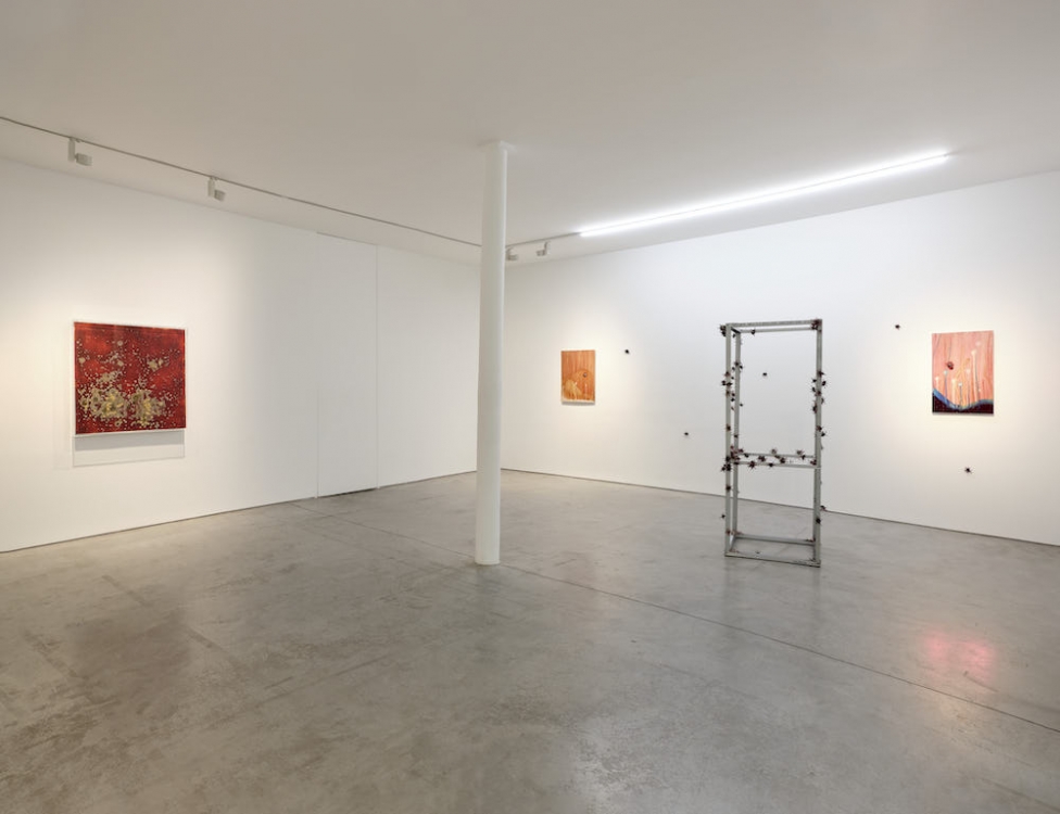 Michel Blazy Art : Concept 