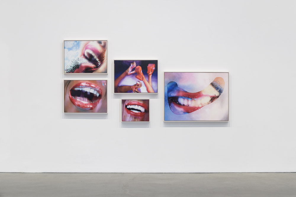 Marilyn Minter Regen Projects 