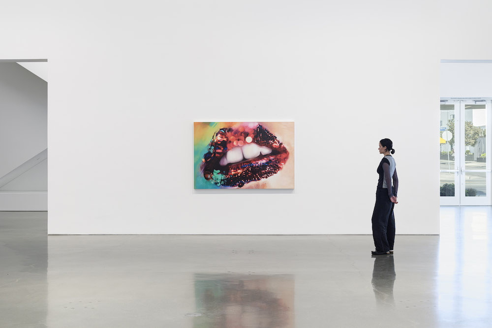 Marilyn Minter Regen Projects 