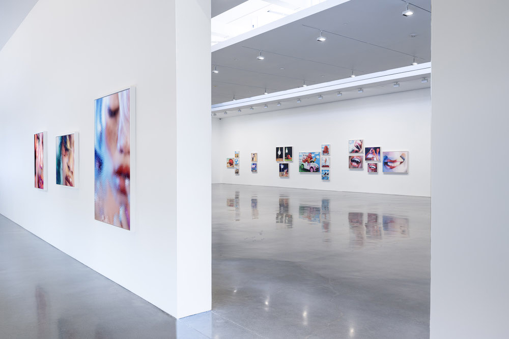 Marilyn Minter Regen Projects 