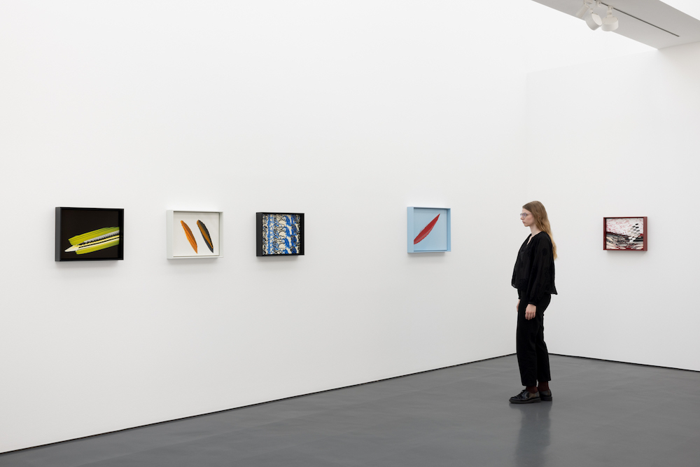 Tauba Auerbach Esther Schipper 