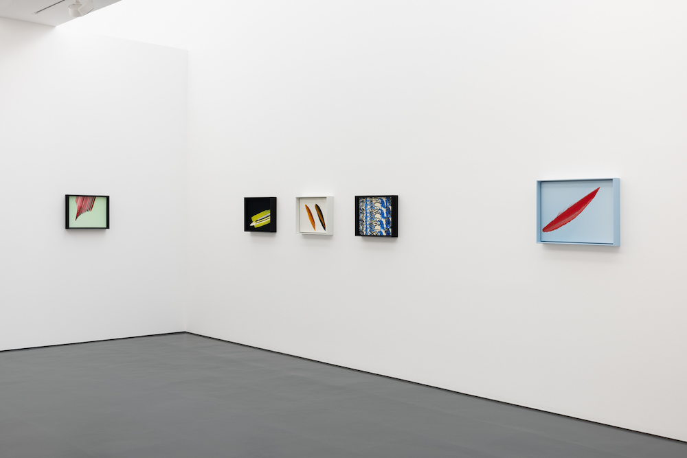 Tauba Auerbach Esther Schipper 