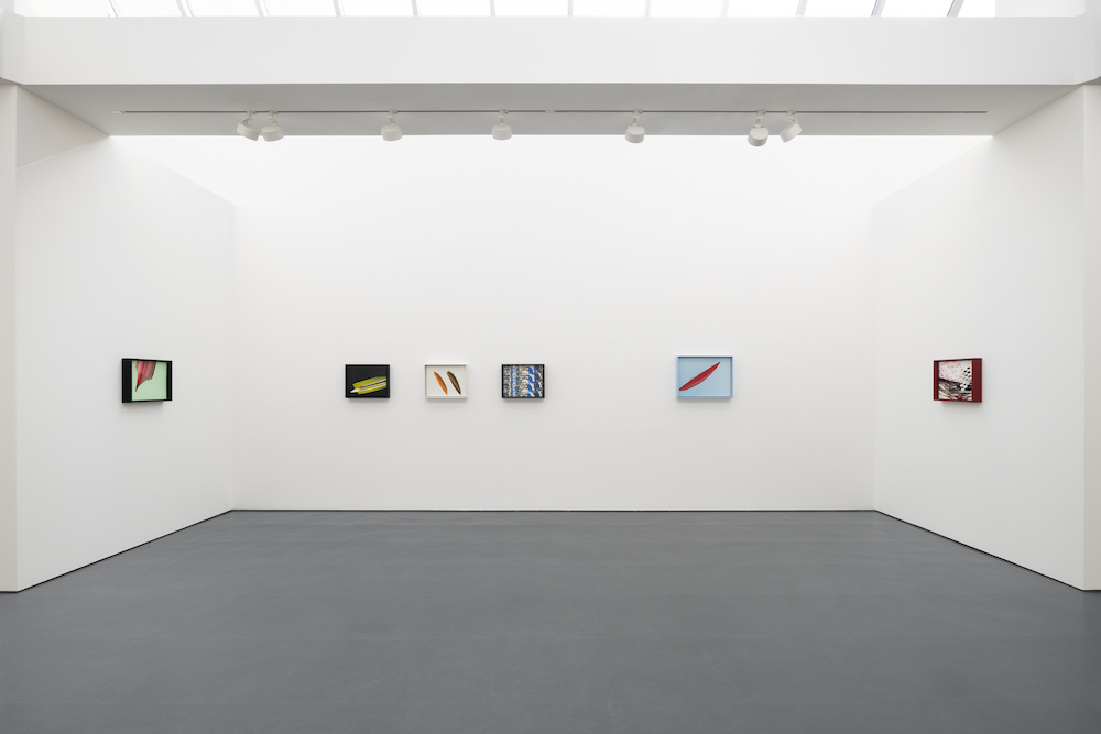 Tauba Auerbach Esther Schipper 