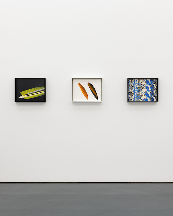 Tauba Auerbach Esther Schipper 