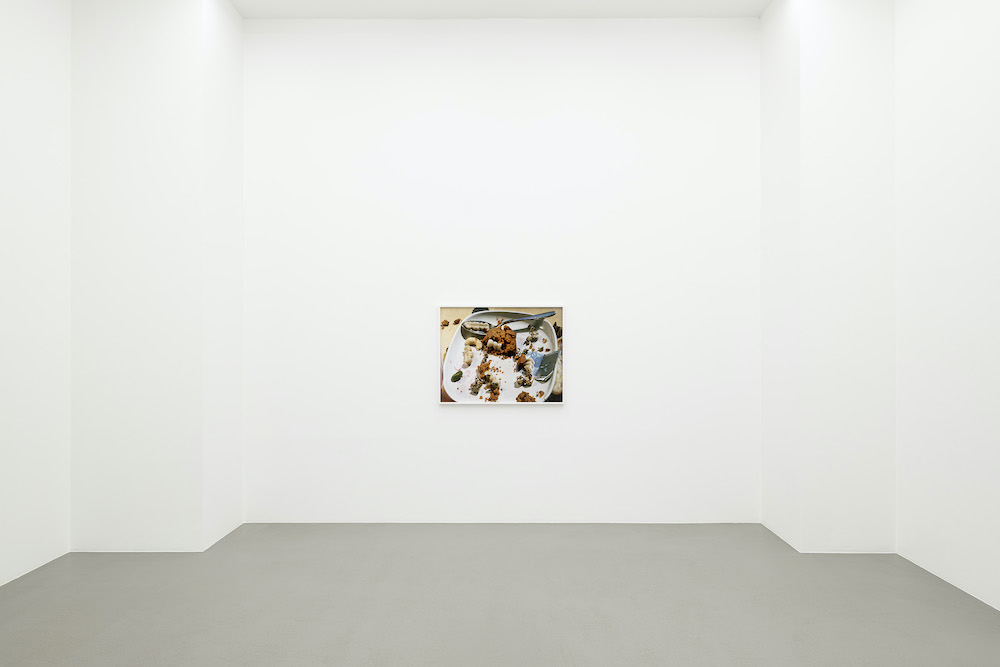 Torbjørn Rødland Galerie Eva Presenhuber 