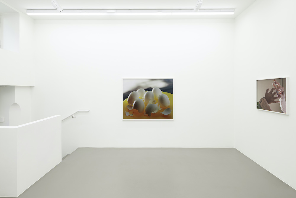 Torbjørn Rødland Galerie Eva Presenhuber 