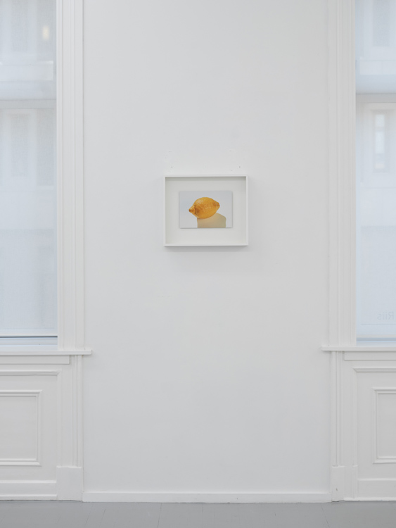 Morten Andenæs Galleri Riis 