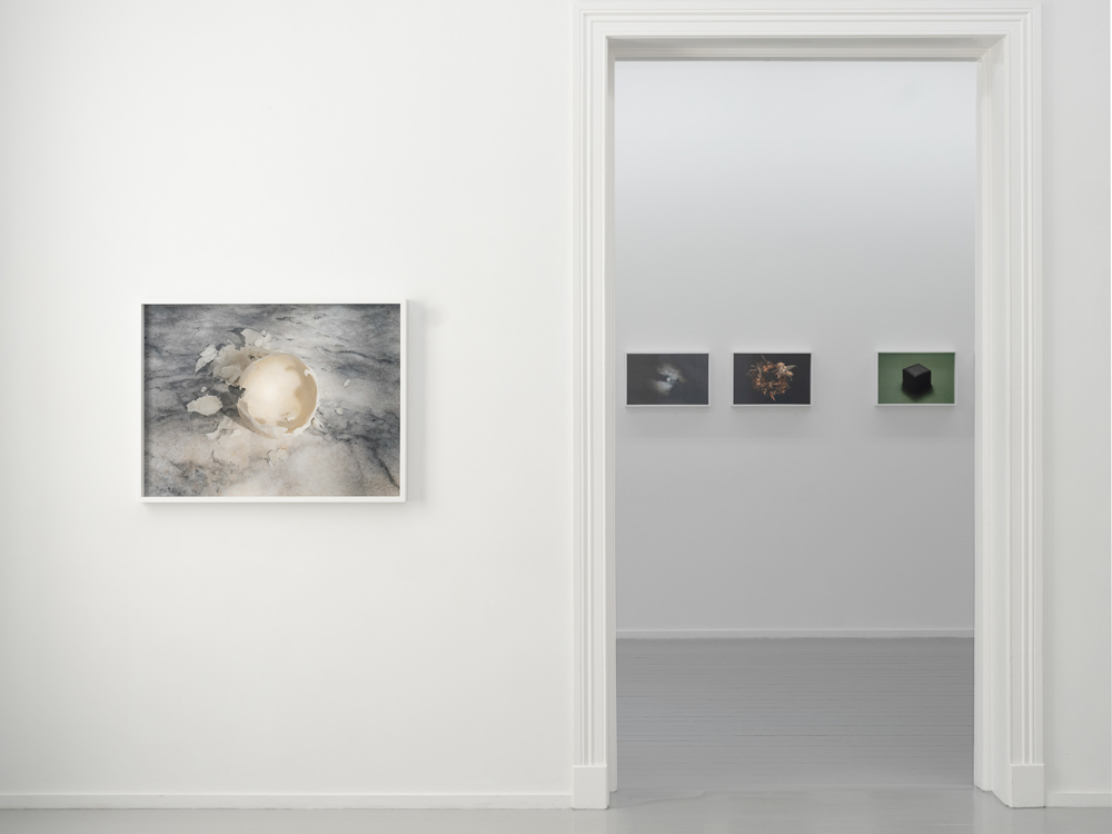 Morten Andenæs Galleri Riis 