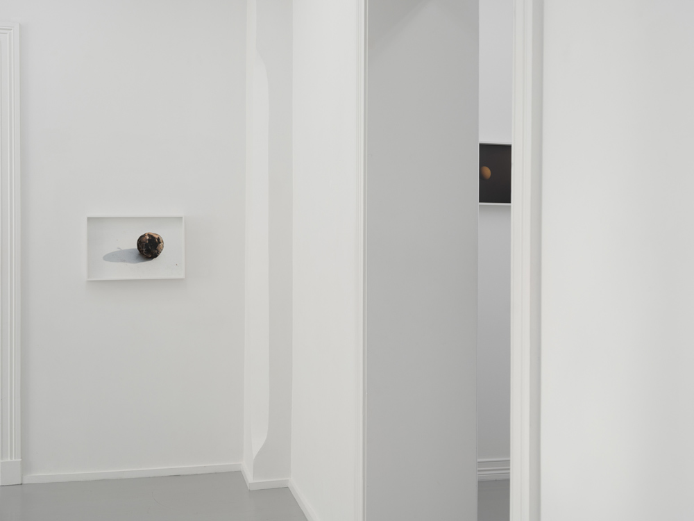 Morten Andenæs Galleri Riis 