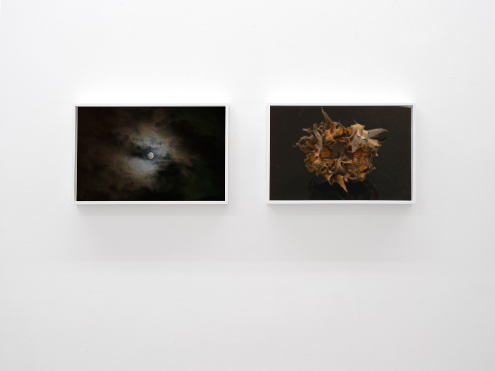 Morten Andenæs Galleri Riis 