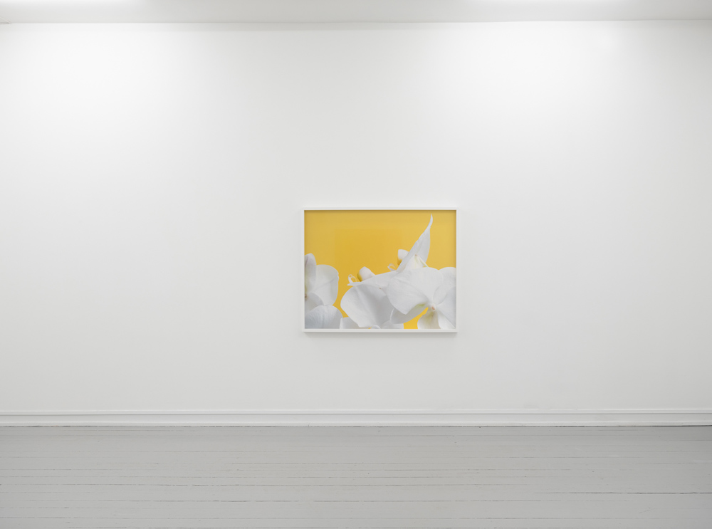 Morten Andenæs Galleri Riis 