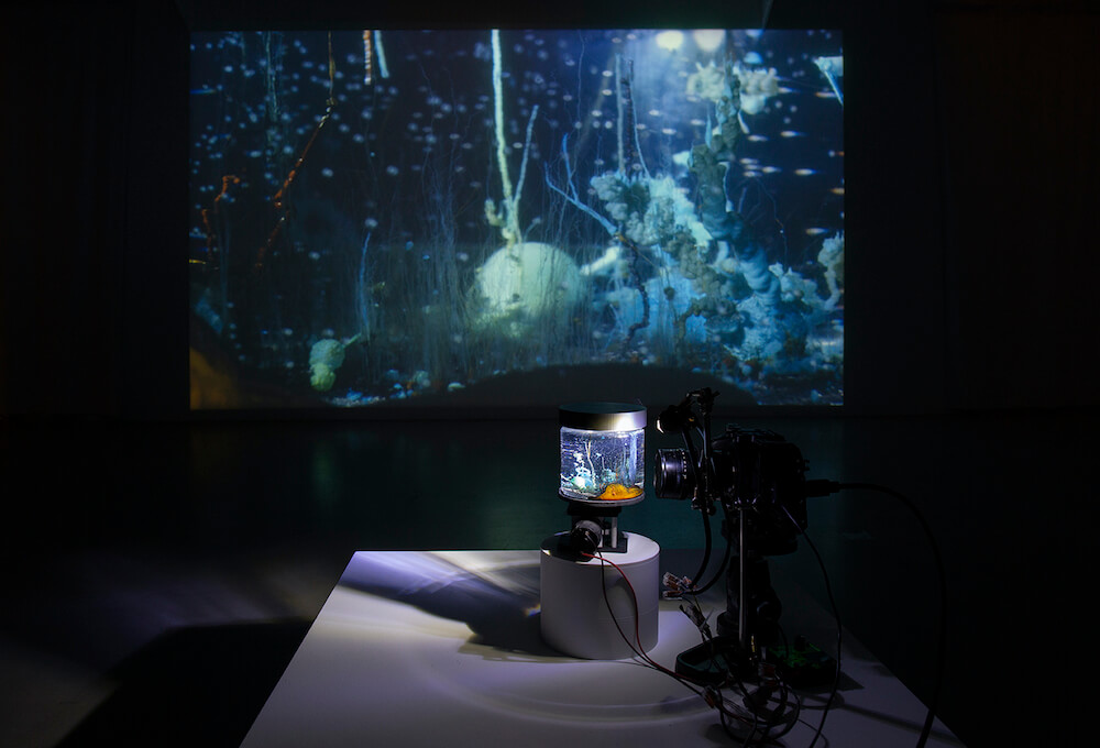 Hicham Berrada Mennour 