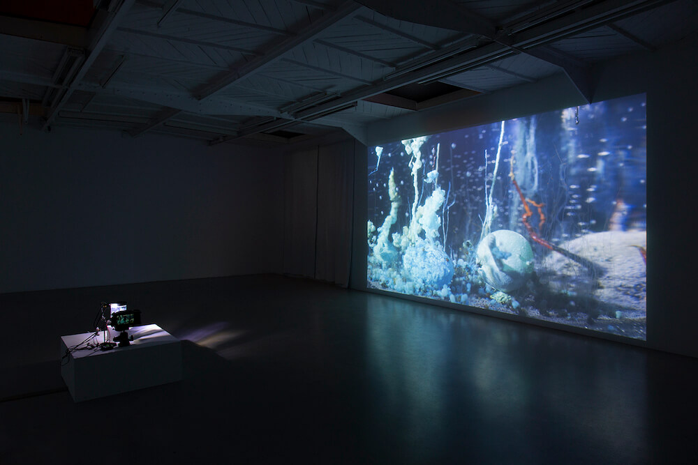 Hicham Berrada Mennour 