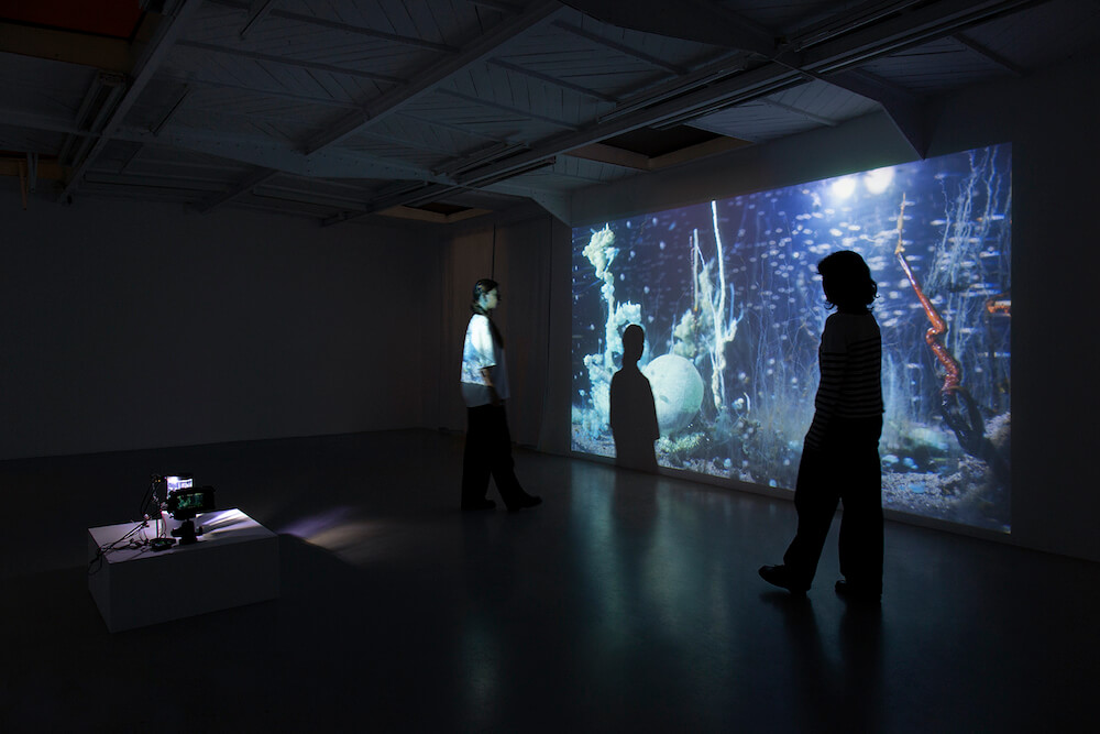 Hicham Berrada Mennour 