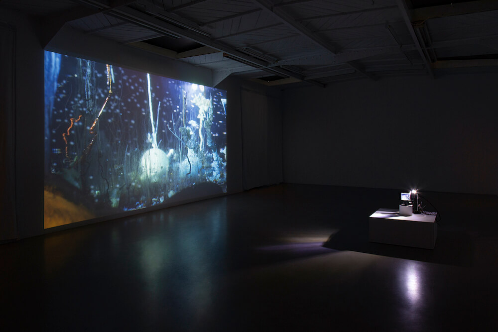 Hicham Berrada Mennour 