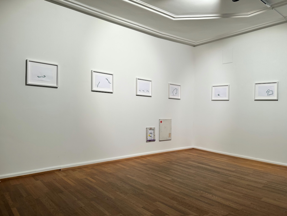 Karin Sander Galerie nächst St. Stephan Rosemarie Schwarzwälder 