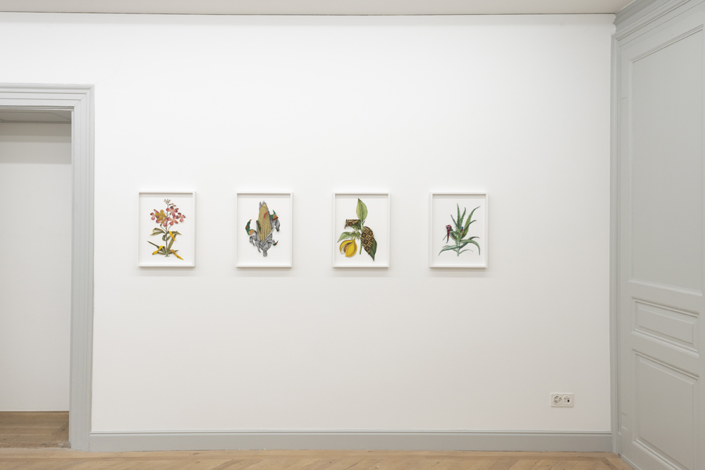 Ishita Chakraborty Galerie Peter Kilchmann 